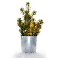 Sapin de Noël en pot en zinc LED