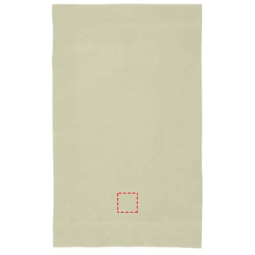 Serviette en coton 450 g/m² 100x180 cm Evelyn gris clair