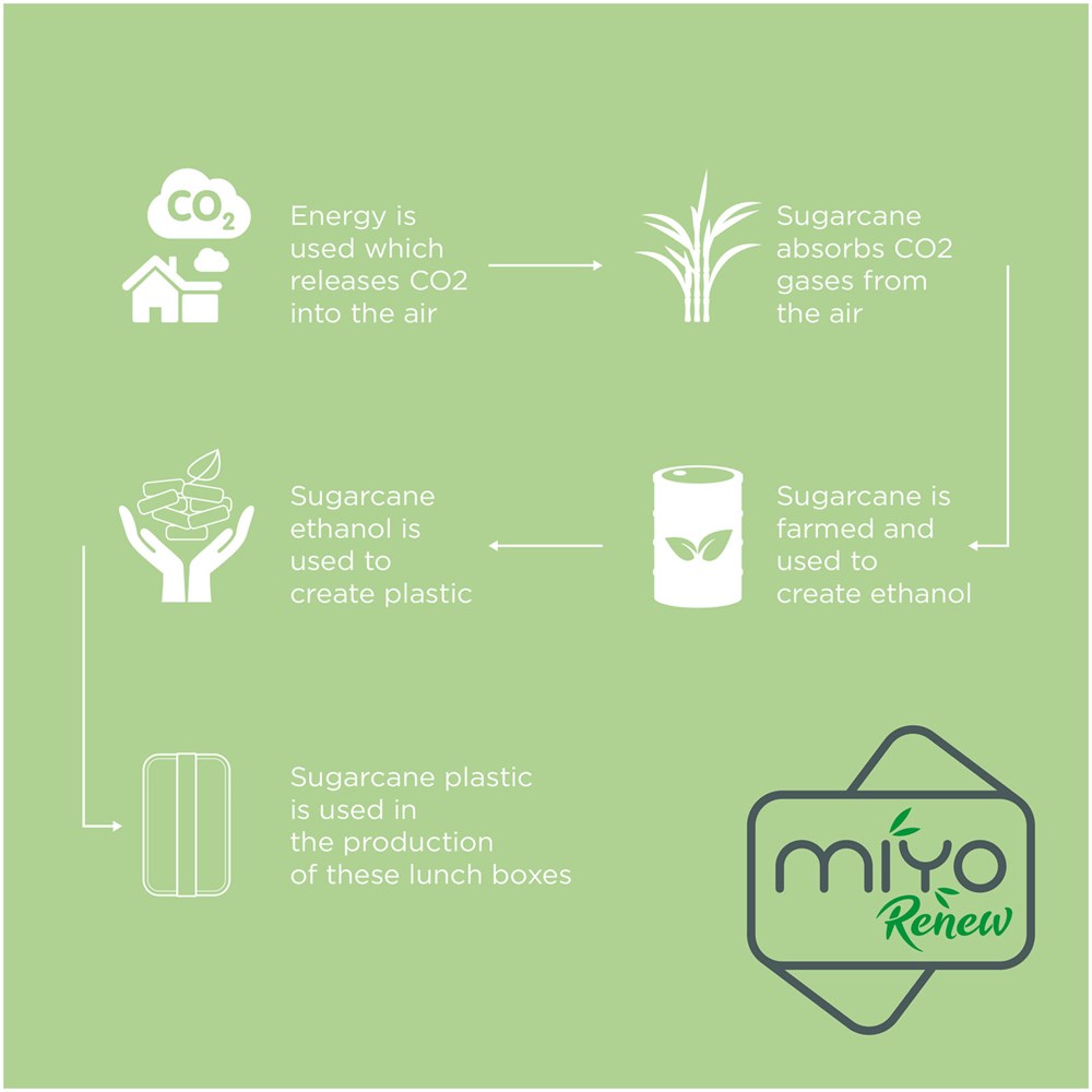 MIYO Renew Lunchbox elfenbeinweiss