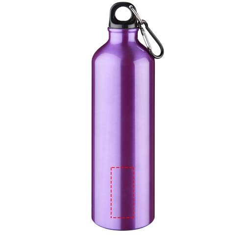 Oregon 770 ml Aluminium Trinkflasche mit Karabinerhaken lila