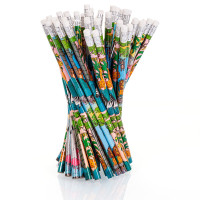 Crayon Set de 48 pièces Wildlife