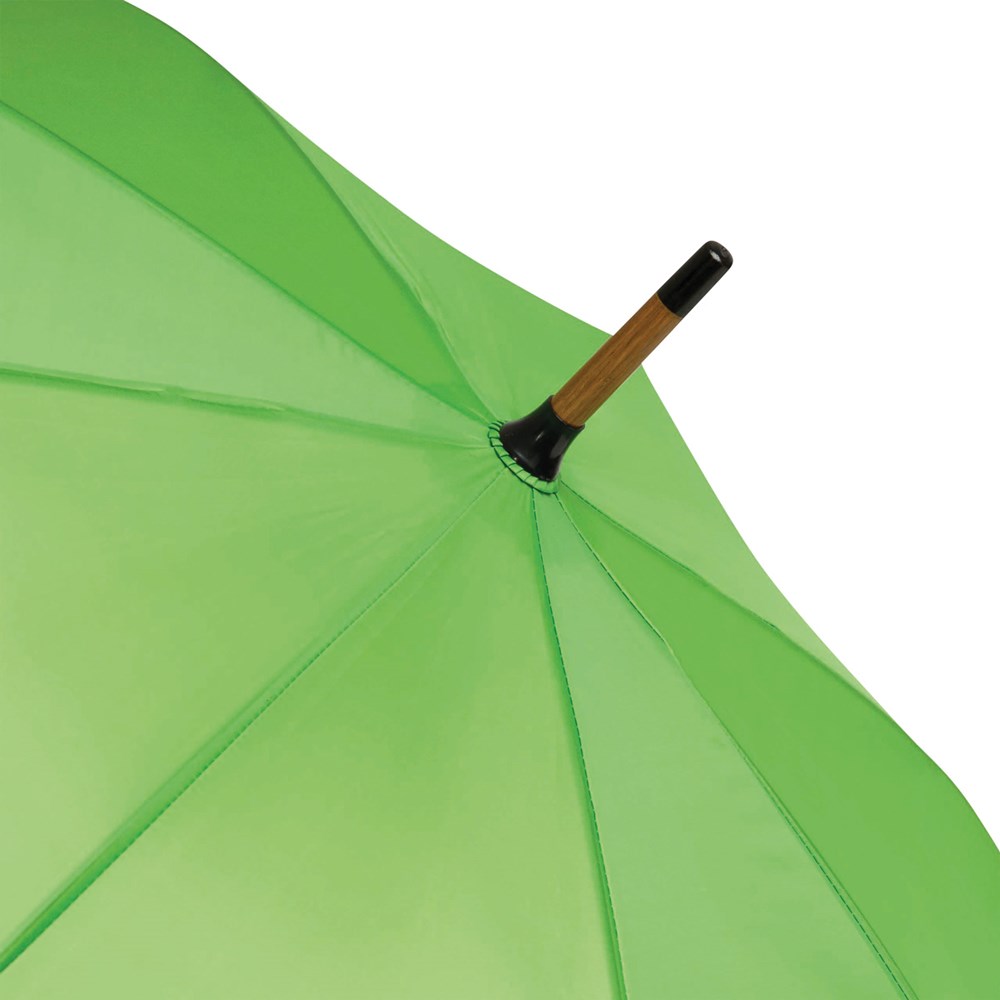 Parapluie Bois Vert clair